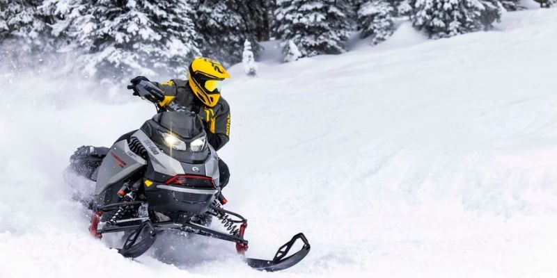 ski doo renegade